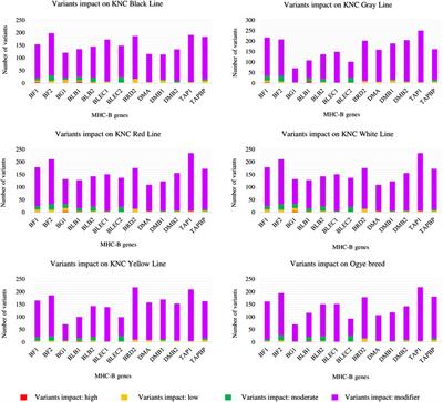 Application of next-generation sequencing for the high-resolution typing of MHC-B in Korean native chicken